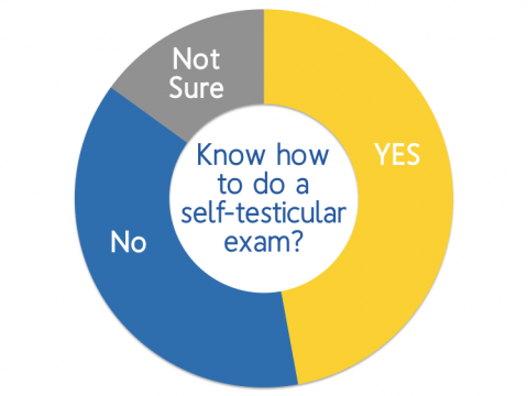 Chart of young Ohio guys that know how to do a self-testicular exam