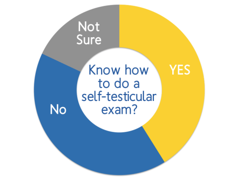 Survey results about testicular self exams in Ohio from January 2016